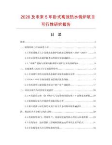 2026及未來5年臥式高效熱水鍋爐項目可行性研究報告