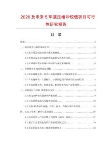 2026及未來5年液壓緩沖鉸鏈項(xiàng)目可行性研究報(bào)告