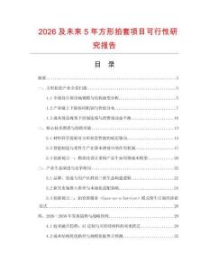 2026及未來5年方形拍套項(xiàng)目可行性研究報(bào)告