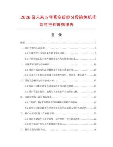2026及未來5年真空絞紗分段染色機項目可行性研究報告