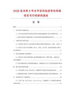 2026及未來5年水平定向鉆進導向系統項目可行性研究報告