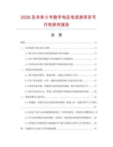 2026及未來5年數字電壓電流表項目可行性研究報告