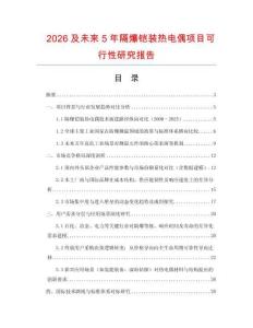 2026及未來5年隔爆鎧裝熱電偶項目可行性研究報告