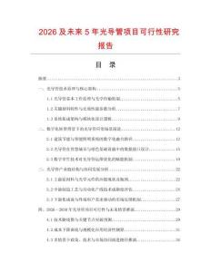 2026及未來5年光導管項目可行性研究報告
