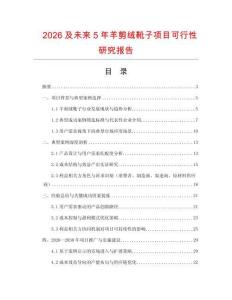 2026及未來5年羊剪絨靴子項(xiàng)目可行性研究報(bào)告