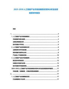 2025-2030人工智能產(chǎn)業(yè)市場發(fā)展現(xiàn)狀競爭分析及投資前景研判報告