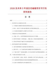 2026及未來5年液壓切縫鋸項目可行性研究報告