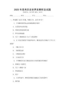2025年高考歷史世界史解析及試題