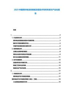 2025中國燃料電池雙極板涂層技術專利布局與產業化報告