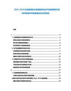 2025-2030石油領域技術發展趨勢及油氣資源勘探開發與環境保護協調發展研究分析報告