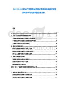 2025-2030石油開采裝備制造領域市場機遇深度挖掘及深海油氣與陸地裝備技術分析