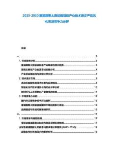 2025-2030塞浦路斯太陽能板制造產業技術進步產能優化市場競爭力分析