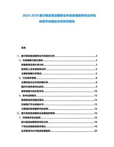 2025-2030塞爾維亞旅游服務業市場發展趨勢供應評估投資評估規劃分析研究報告