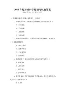 2025年經(jīng)濟(jì)統(tǒng)計學(xué)原理考試及答案