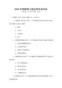 2025年物聯網工程應用開發考試