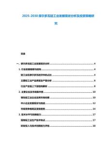 2025-2030摩爾多瓦輕工業(yè)發(fā)展現(xiàn)狀分析及投資策略研究