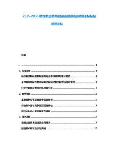 2025-2030黏性黏逆黏黏逆黏黏逆黏黏逆黏黏逆黏黏黏黏黏逆黏