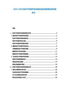 2025-2030知識產權保護體系建設成效創新理論研究藍皮書