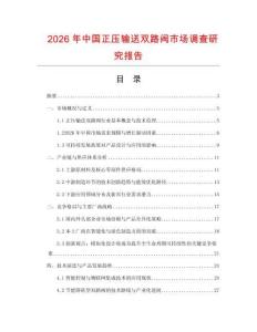 2026年中國正壓輸送雙路閥市場調查研究報告