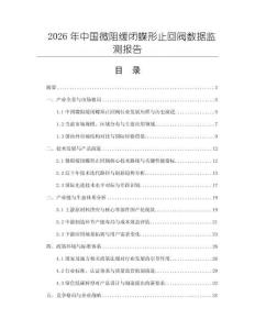 2026年中國(guó)微阻緩閉蝶形止回閥數(shù)據(jù)監(jiān)測(cè)報(bào)告