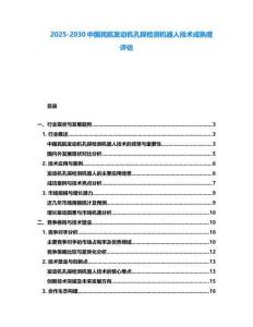 2025-2030中國民航發動機孔探檢測機器人技術成熟度評估