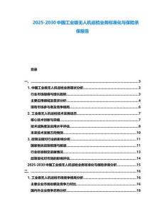 2025-2030中國工業級無人機巡檢業務標準化與保險承保報告