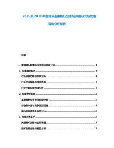 2025至2030中國錘頭起重機(jī)行業(yè)市場深度研究與戰(zhàn)略咨詢分析報(bào)告
