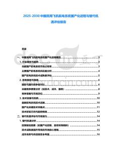 2025-2030中國民用飛機航電系統國產化進程與替代機遇評估報告