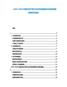 2025-2030中國(guó)步槍子彈行業(yè)市場(chǎng)發(fā)展趨勢(shì)與前景展望戰(zhàn)略研究報(bào)告