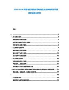 2025-2030網易考拉海購跨境電商業務競爭格局分析投資環境規劃研究