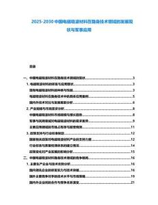 2025-2030中國(guó)電磁吸波材料在隱身技術(shù)領(lǐng)域的發(fā)展現(xiàn)狀與軍事應(yīng)用