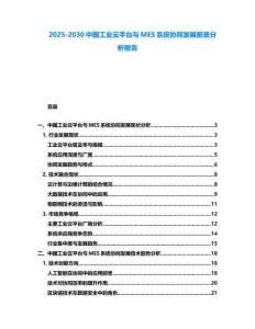 2025-2030中國工業(yè)云平臺與MES系統(tǒng)協(xié)同發(fā)展前景分析報(bào)告