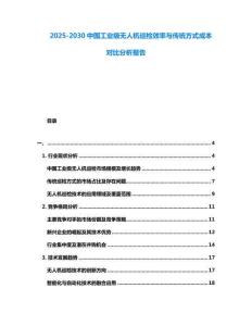 2025-2030中國工業級無人機巡檢效率與傳統方式成本對比分析報告