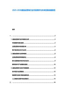 2025-2030通信運營商行業市場博弈與未來發展戰略報告