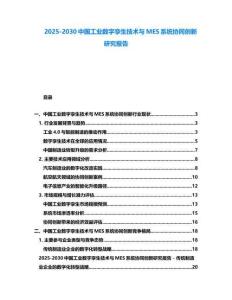2025-2030中國工業數字孿生技術與MES系統協同創新研究報告