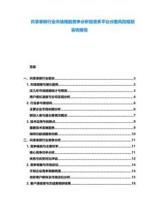 共享單騎行業(yè)市場(chǎng)殘酷競爭分析投資多平臺(tái)分散風(fēng)險(xiǎn)規(guī)劃咨詢報(bào)告