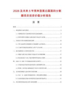 2026及未來5年簡單型黑白畫面四分割器項目投資價值分析報告