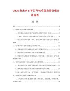 2026及未來5年打氣輪項目投資價值分析報告