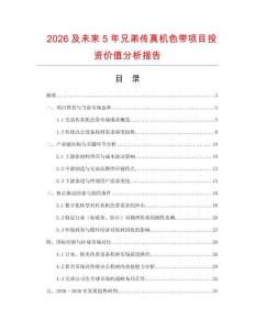 2026及未來5年兄弟傳真機(jī)色帶項(xiàng)目投資價(jià)值分析報(bào)告