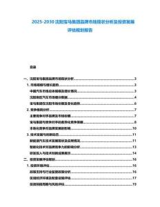 2025-2030沈陽寶馬集團品牌市場現狀分析及投資發展評估規劃報告