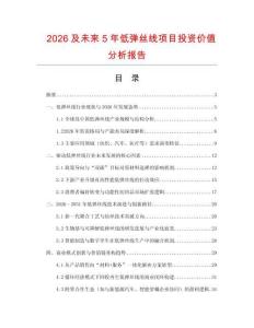 2026及未來5年低彈絲線項目投資價值分析報告