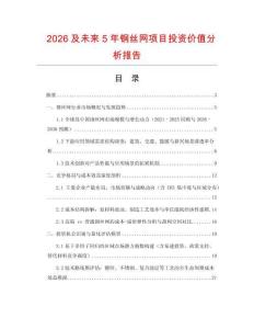 2026及未來5年鋼絲網(wǎng)項目投資價值分析報告