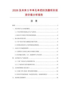 2026及未來5年單孔單把婦洗器項目投資價值分析報告