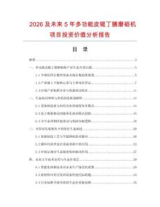 2026及未來5年多功能皮輥丁腈磨礪機項目投資價值分析報告
