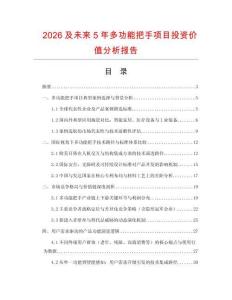 2026及未來5年多功能把手項(xiàng)目投資價值分析報告