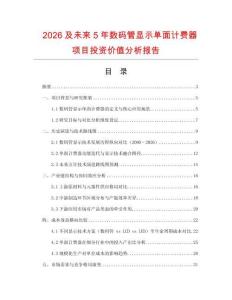 2026及未來5年數碼管顯示單面計費器項目投資價值分析報告
