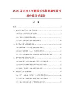 2026及未來5年翻蓋式電焊面罩項目投資價值分析報告