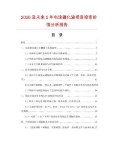 2026及未來(lái)5年電泳磷化液項(xiàng)目投資價(jià)值分析報(bào)告