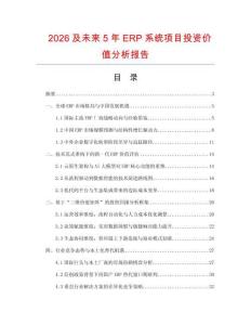2026及未來5年ERP系統項目投資價值分析報告