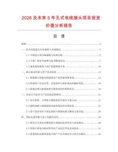2026及未來5年孔式電線接頭項目投資價值分析報告